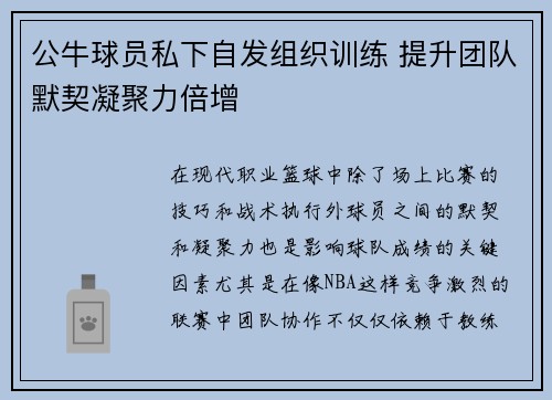 公牛球员私下自发组织训练 提升团队默契凝聚力倍增