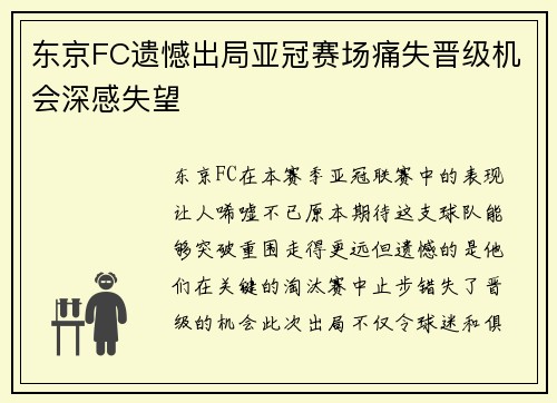 东京FC遗憾出局亚冠赛场痛失晋级机会深感失望
